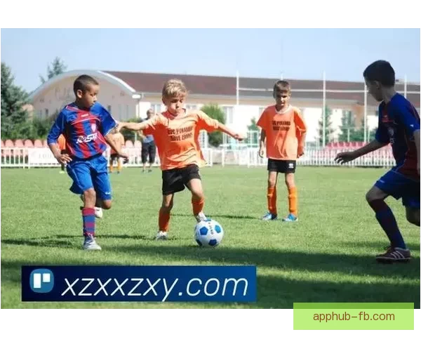 FB体育app下载最新官方版下载安装全功能指南与使用攻略 FB体育app下载最新官方版下载安装全功能指南与使用攻略